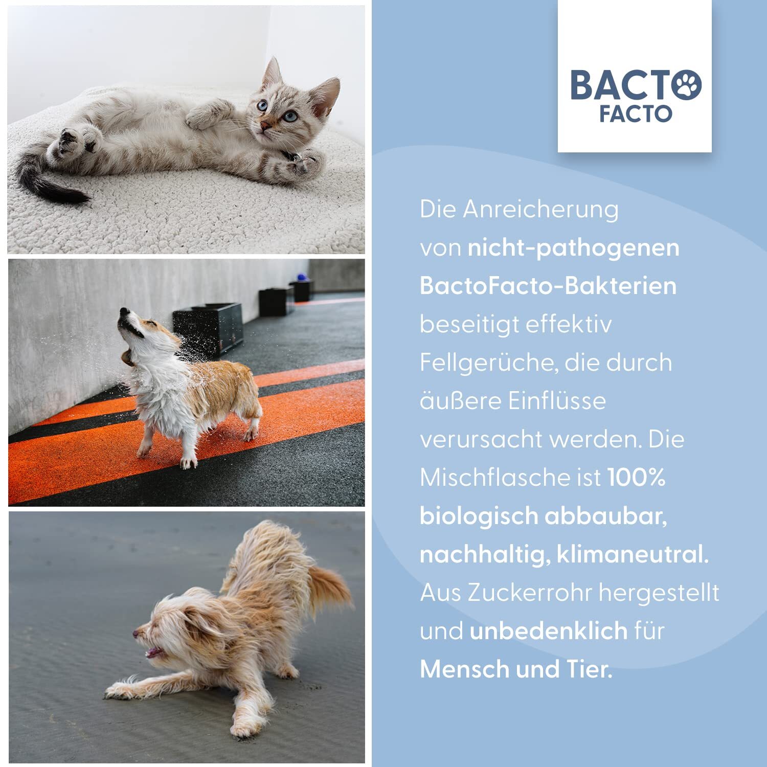 BactoFacto Fellpflege BactoFacto Fellpflege Spray