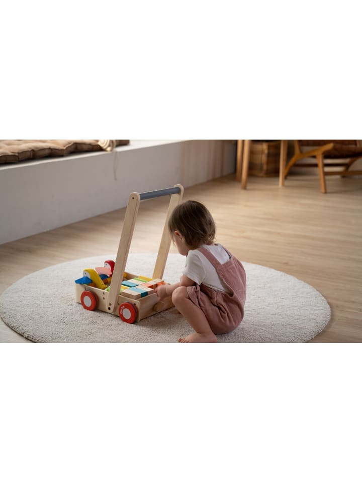 Plan Toys Lauflernwagen Vogel ab 10 Monate günstig kaufen onesize