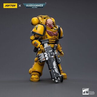 Warhammer 40k Actionfigur: Imperial Fists Heavy Intercessors 02
