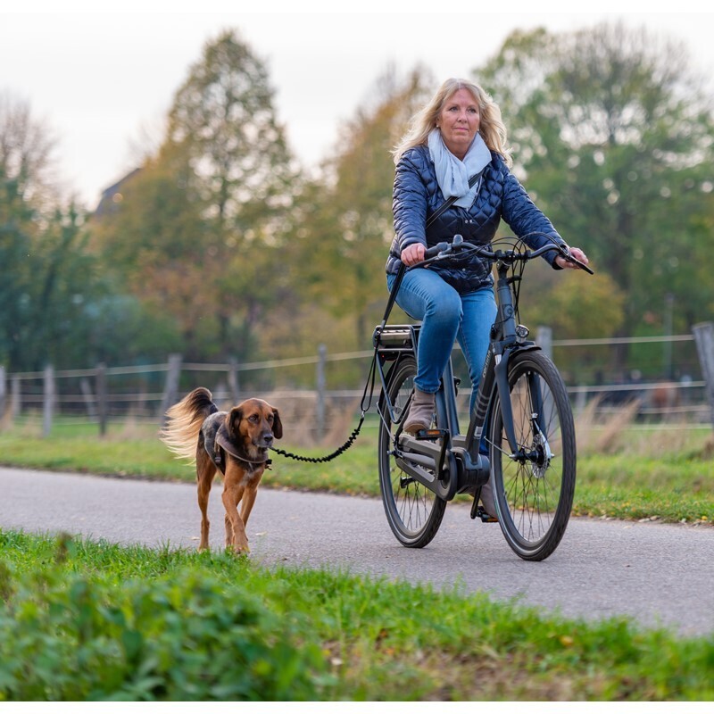 AniOne Fahrradzubehör AniOne Fahrradleine