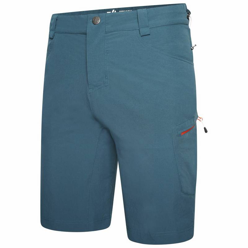 Dare 2B Tuned In II Shorts Herren