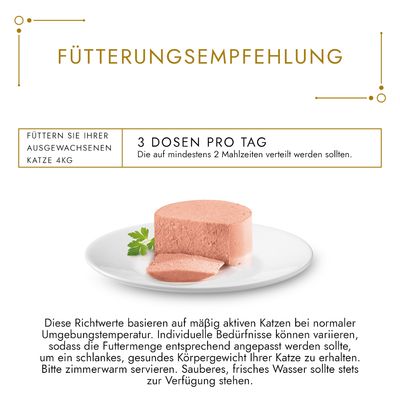 Mix-Sparpaket Gourmet Gold 48 x 85 g