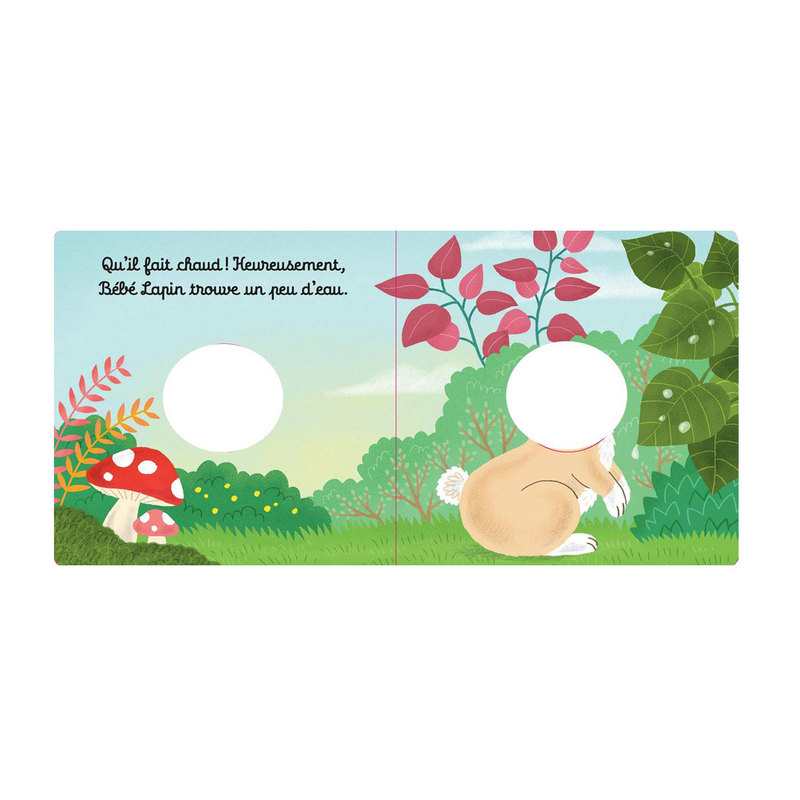 Livre Les bébêtes Bébé Lapin - Casterman