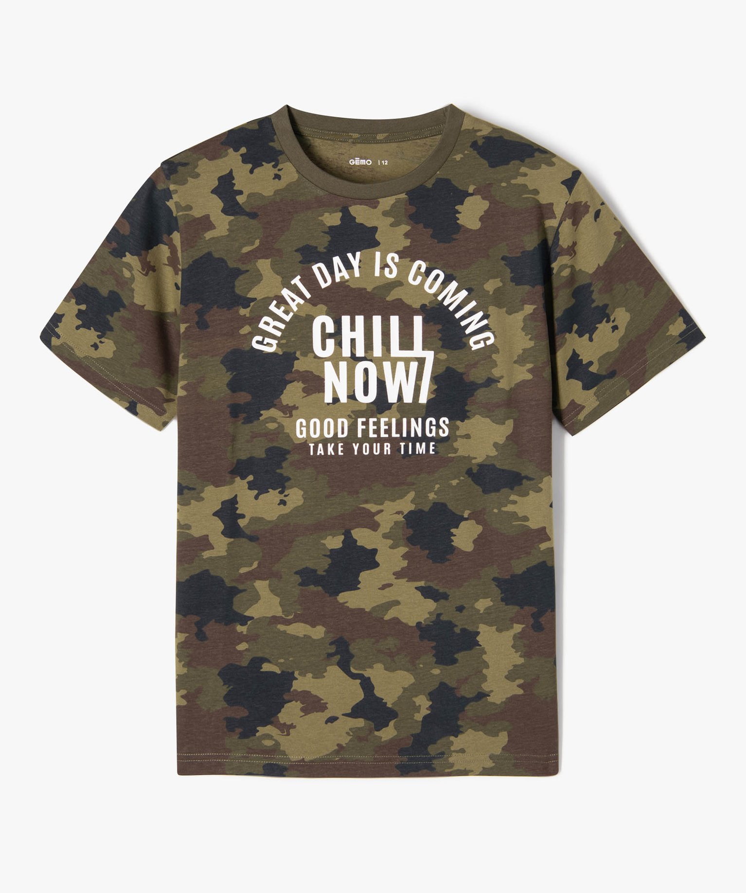 Tee-shirt à manches courtes imprimé Garçon multicolore | GEMO
