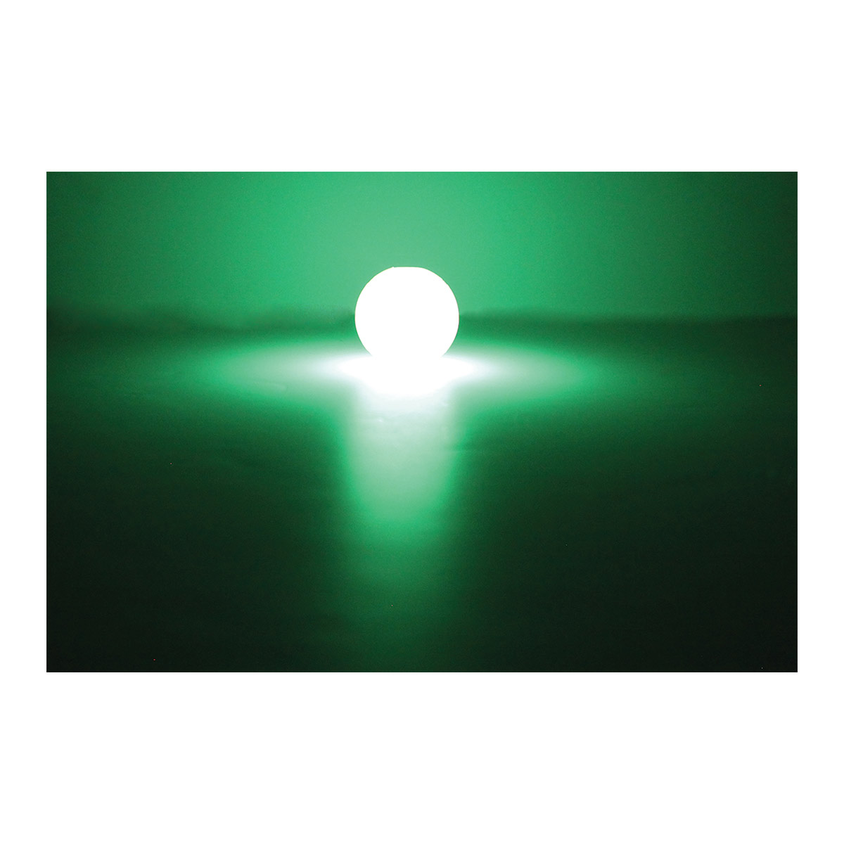 Chuckit! Max Glow Ball günstig kaufen bei ZooRoyal