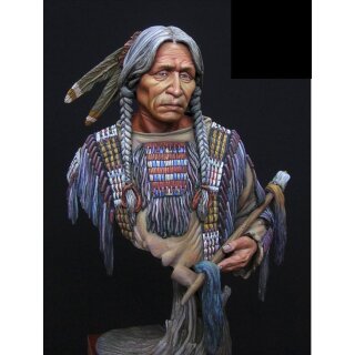 Sioux Indian 1/10 Bust