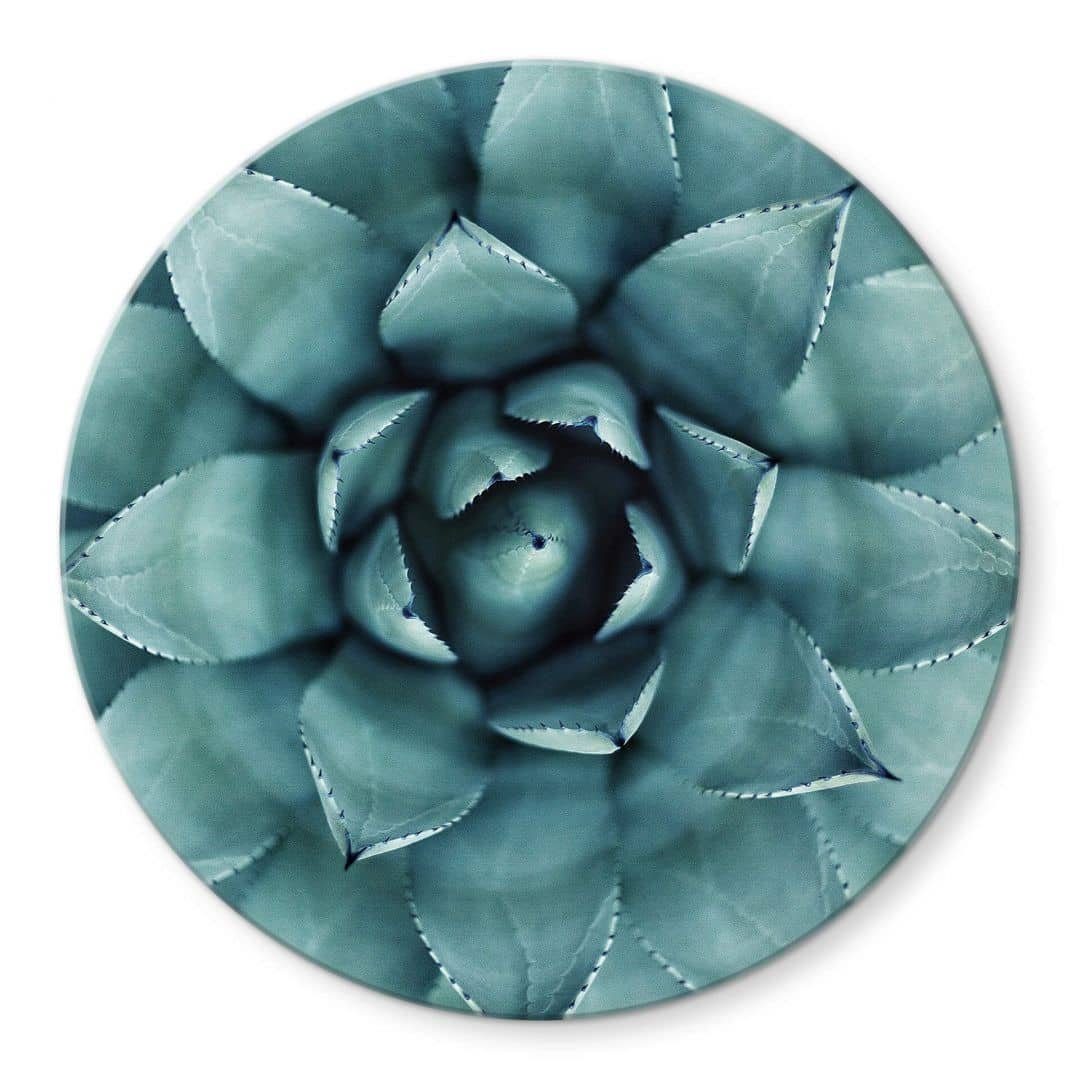 K&L Wall Art Arbeitsplatte Glas Tischplatte Sukkulente Beistelltisch Kaktus Pflanze Floral Glastisch