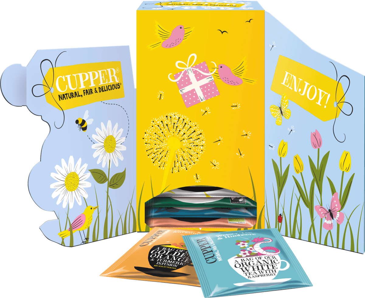 For You Selection Teas & Infusions Box, 8 verschiedene Sorten (24 Beutel), 43 g