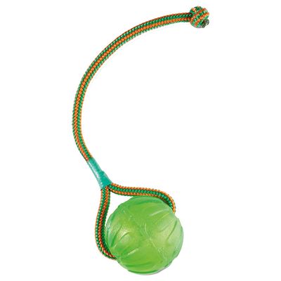 Starmark Swing n' Fling Chew Ball