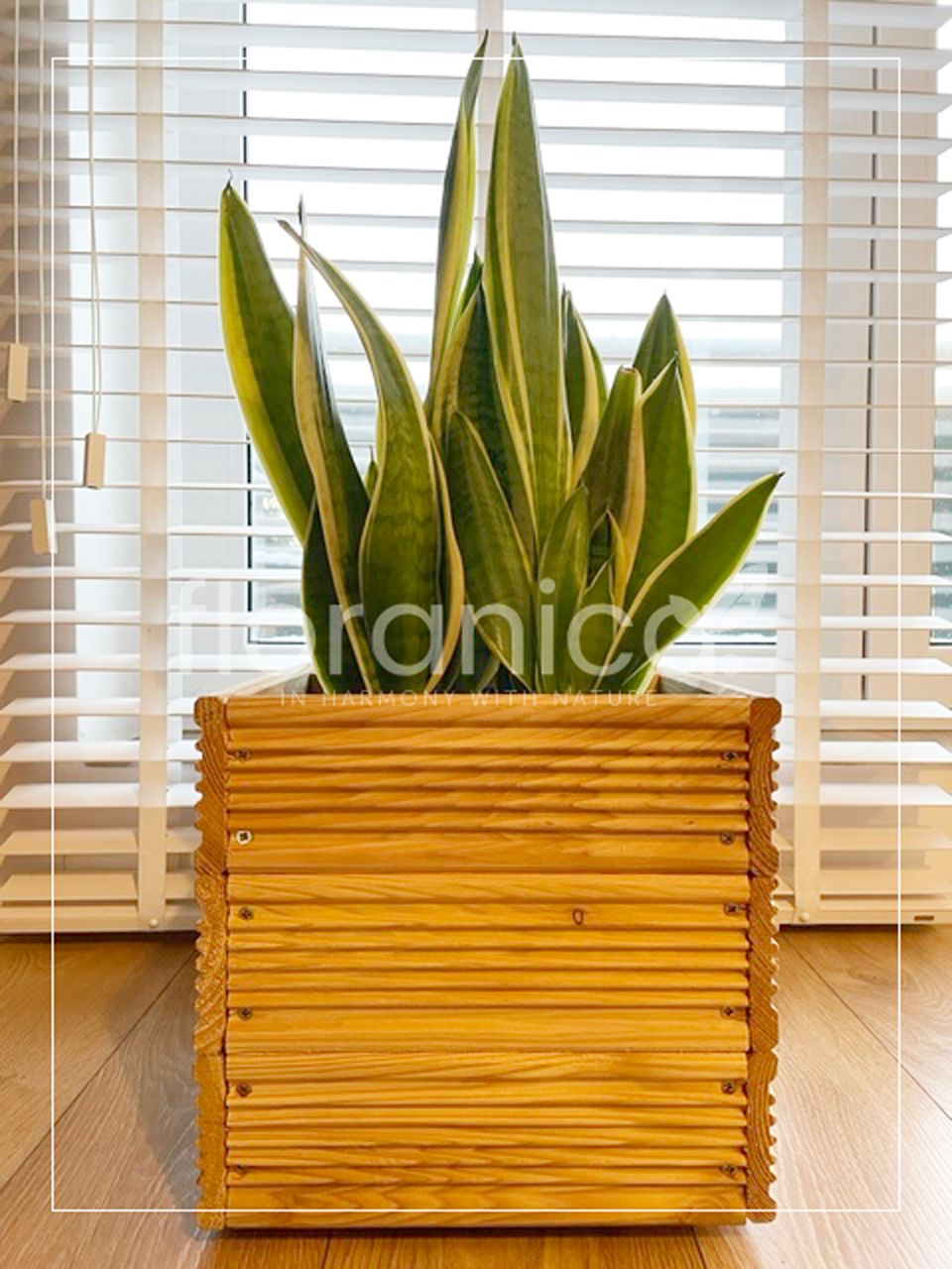 Pemicont Floranica Blumentopf aus Holz Kasten 30cm x 30cm x 285cm Einheimisch Imprägniertes Lärchenholz Schutzhülle für Kräuter Blumen Haus- und Gartendekoration Innen- und Außenbereich EU-Produkt