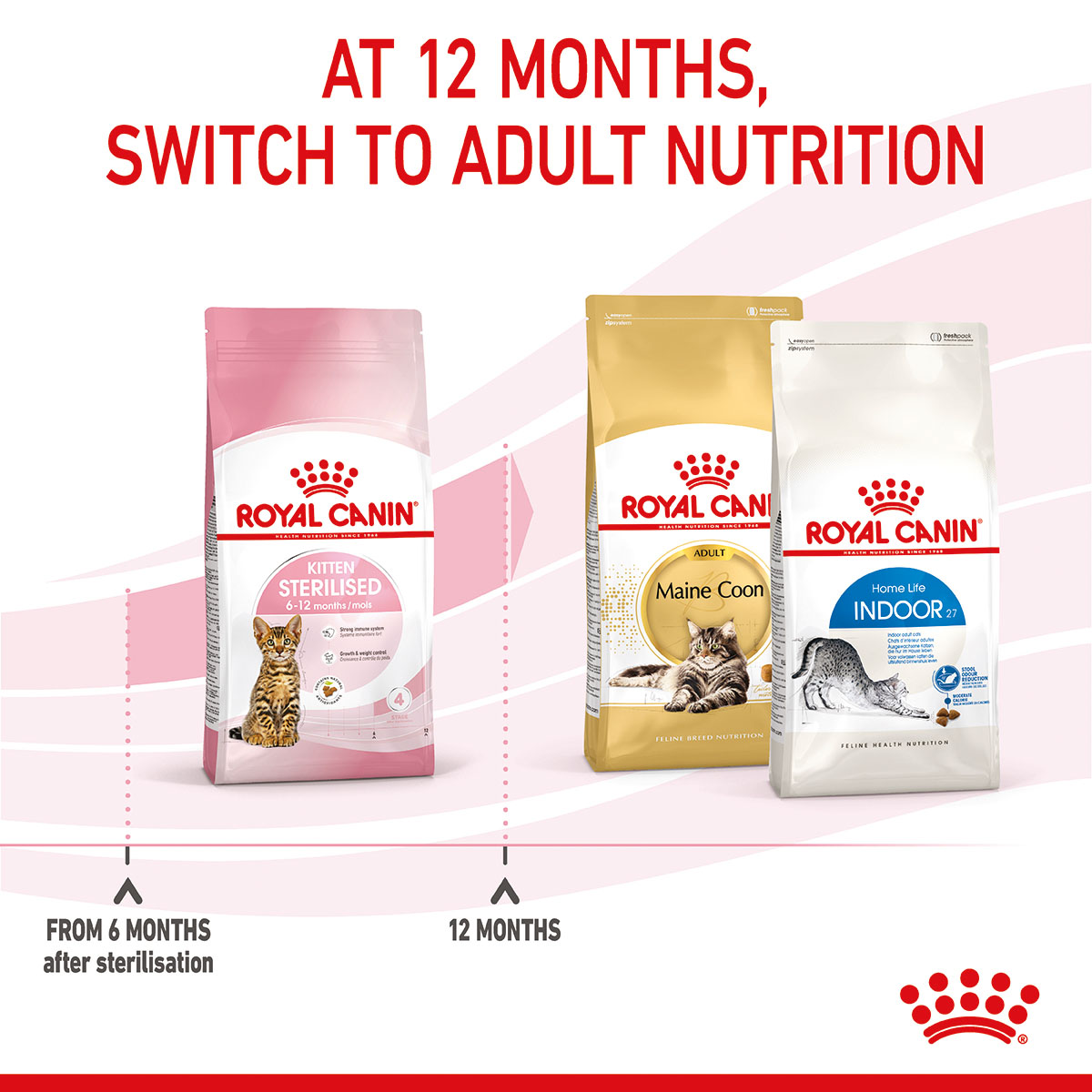 ROYAL CANIN KITTEN Sterilised Kittenfutter für kastrierte Kätzchen 3,5kg
