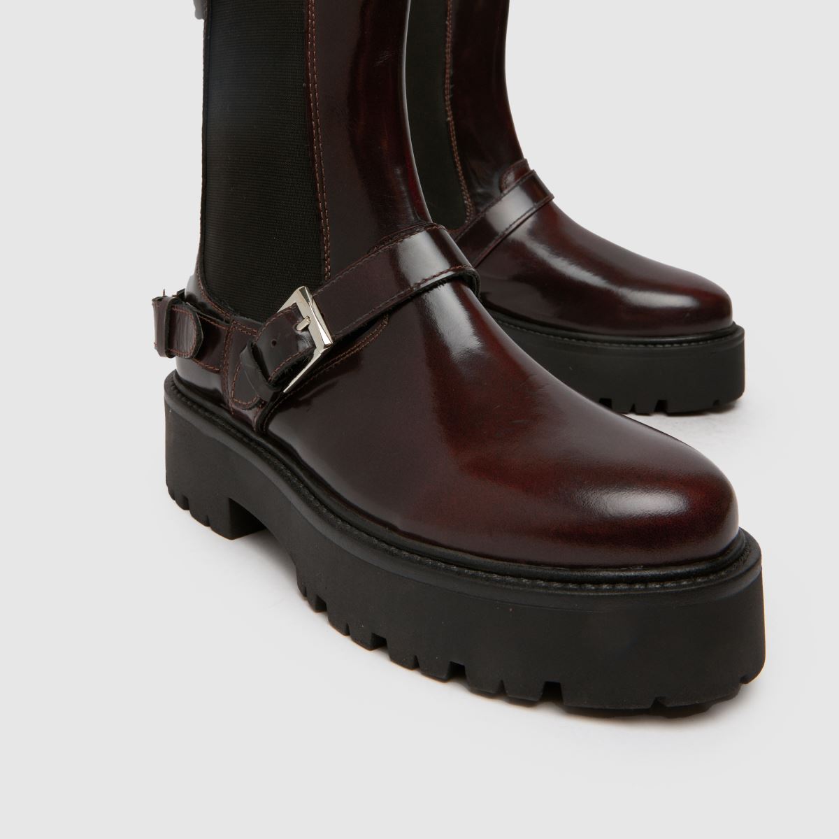 Schuh – Ariah-läderstövlar med spänne i vinröd