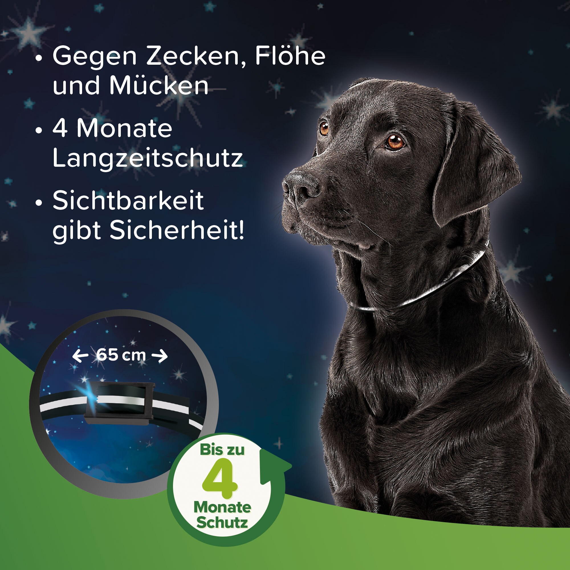 Beaphar Floh- & Zeckenmittel Beaphar reflektierendes Zecken- und Flohschutz Halsband