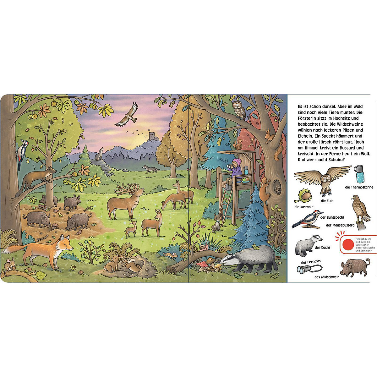 Hör mal (Soundbuch): Wimmelbuch: Wald und Wiese