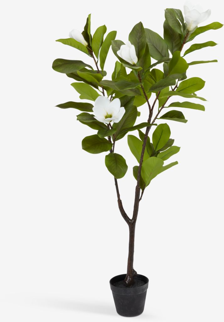 SPINDEL Artificial plant SPINDEL H120cm magnolia