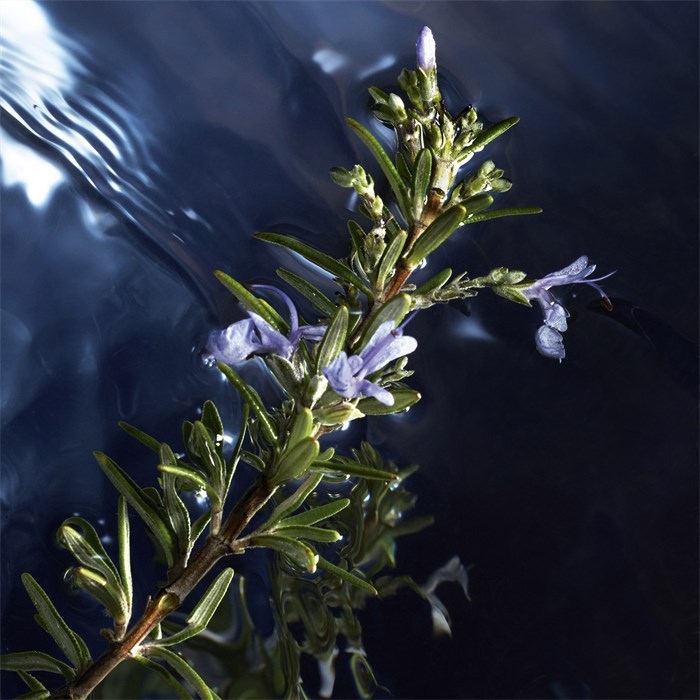 Eau de Toilette Spray
