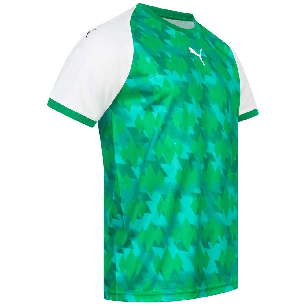 PUMA Herren Handball Trikot 764582-01