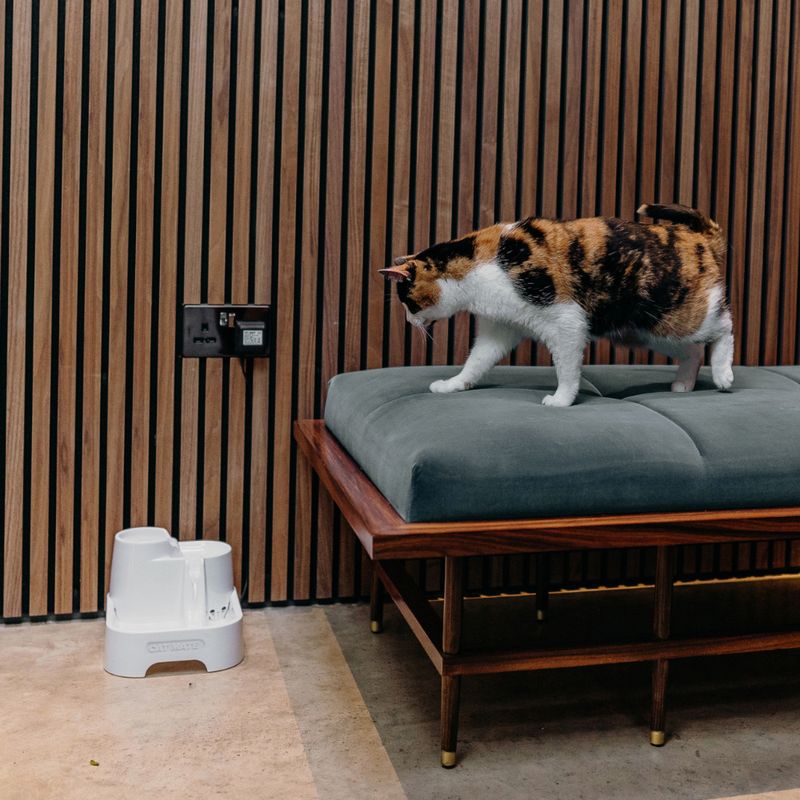 Cat Mate Trinkbrunnen, 2 Liter zu TOP-Preisen
