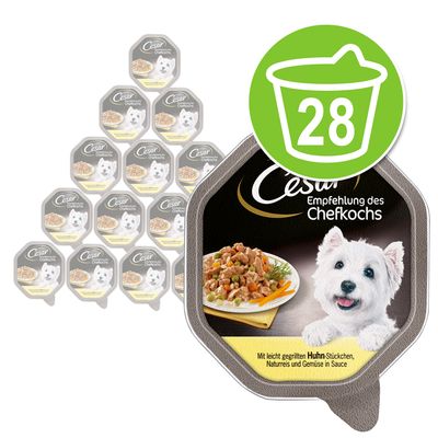 Megapack Cesar Schale 28 x 150 g