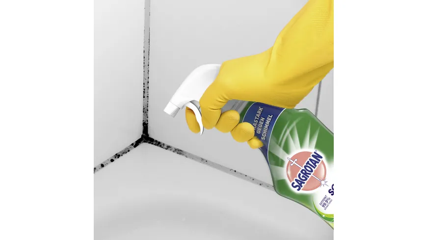 Sagrotan Reiniger Schimmel Frei 750 ml