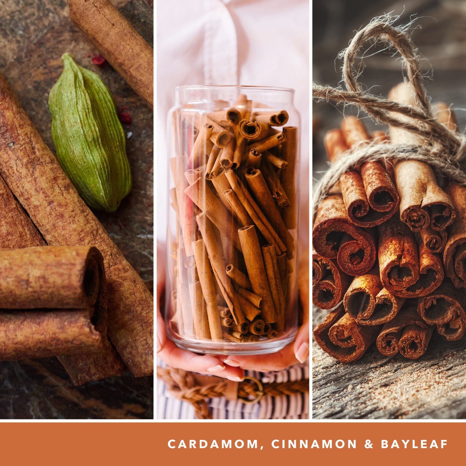 CINNAMON STICK
