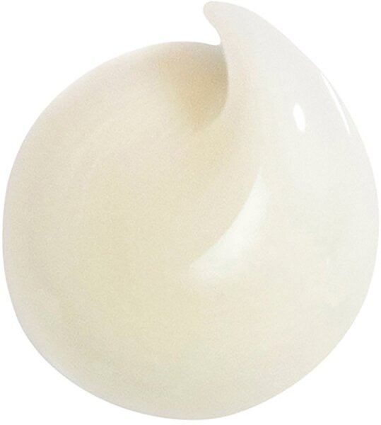 Hair Rituel by Sisley Masque Soin Régénérant Haarmaske