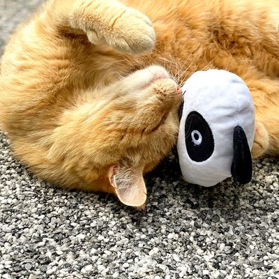 Aumüller Katzenspielkissen Panda Qi