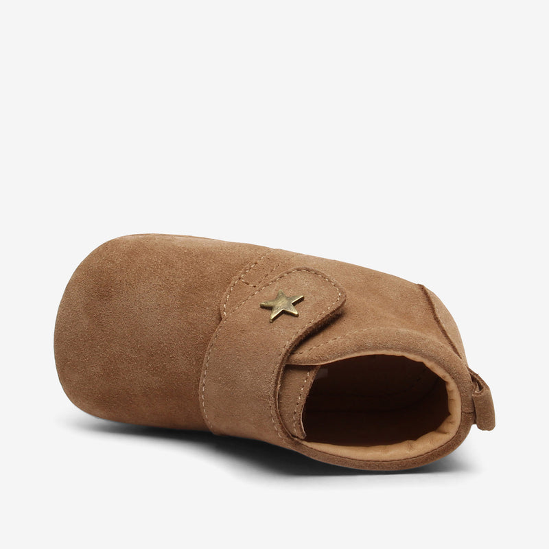 baby star camel - Braun