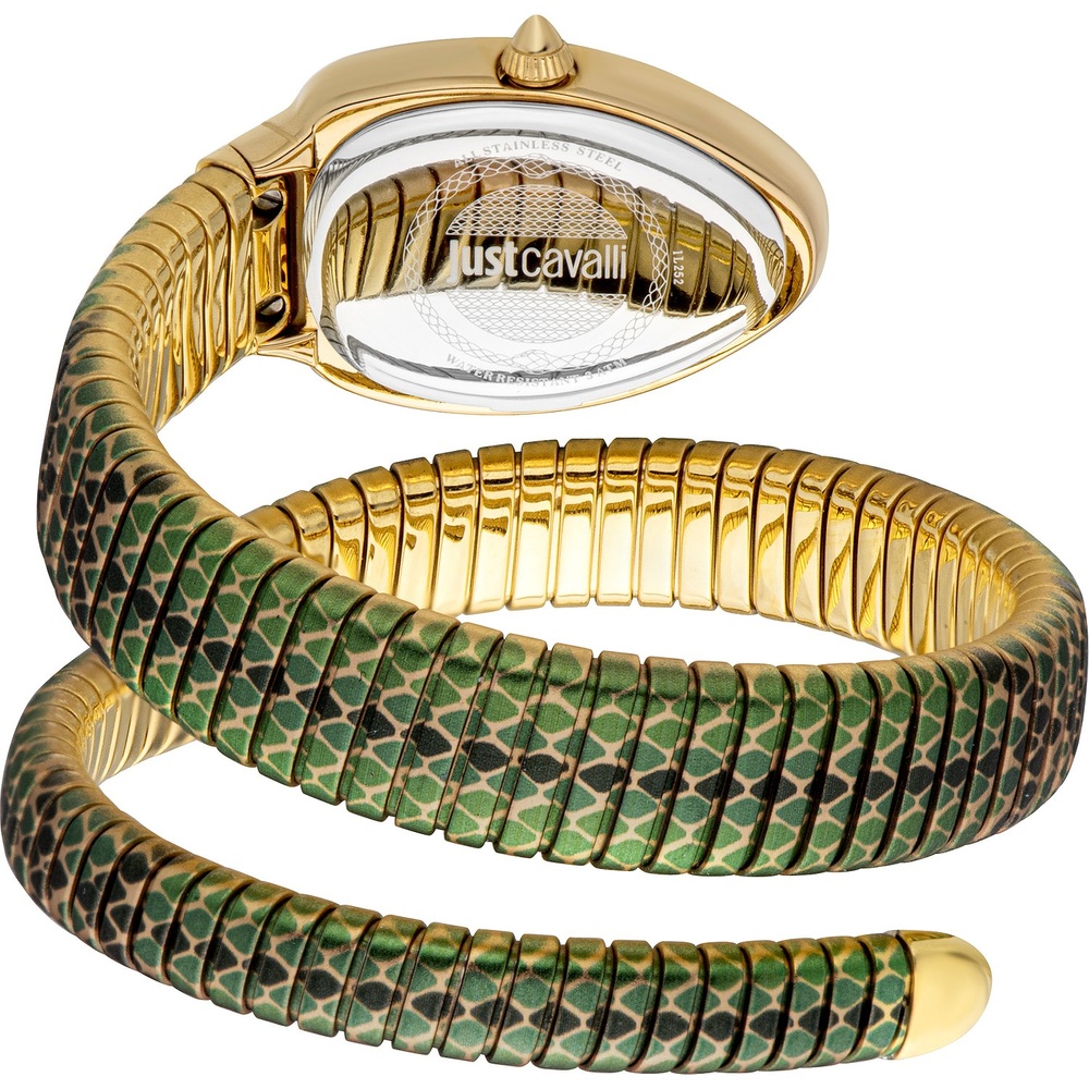 Just Cavalli Montre pour femme Acier inoxydable Montre