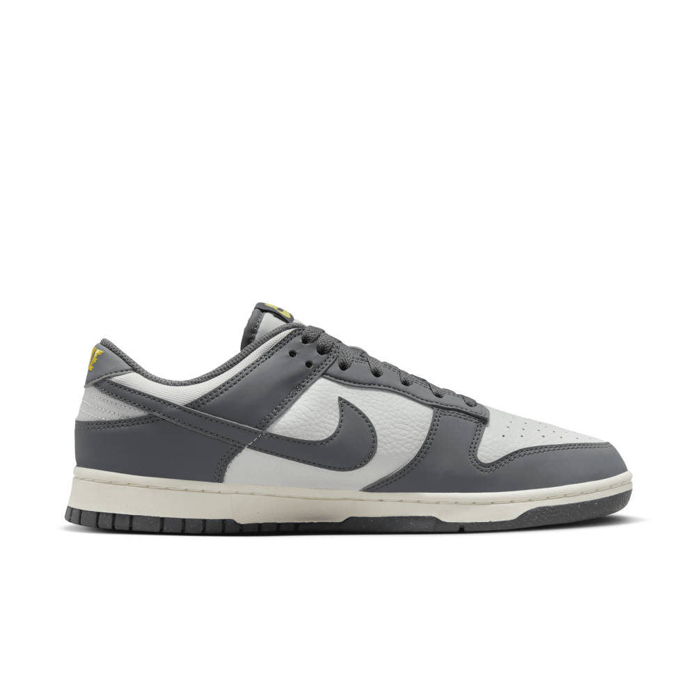 Nike Dunk Low Next Nature FZ4621-001 / grau