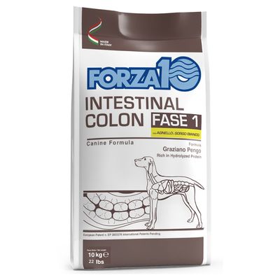 Forza 10 Intestinal Colon Phase 1 mit Lamm