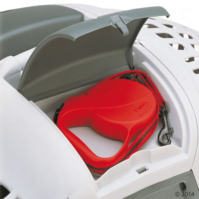Transportbox Avior zu TOP-Preisen