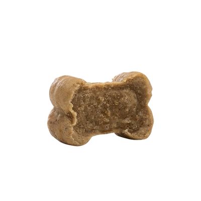 Caniland Dog Bones Insect