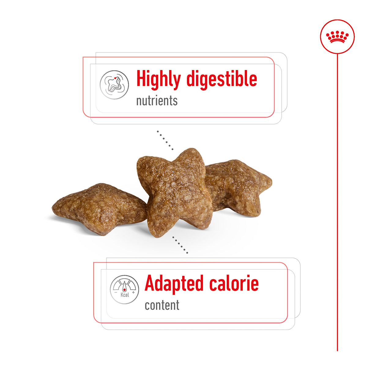 Royal Canin Size Health Nutrition Mini Adult kaufen bei ZooRoyal