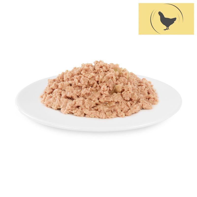 Sparpaket Briantos Delicious Paté 48 x 100 g