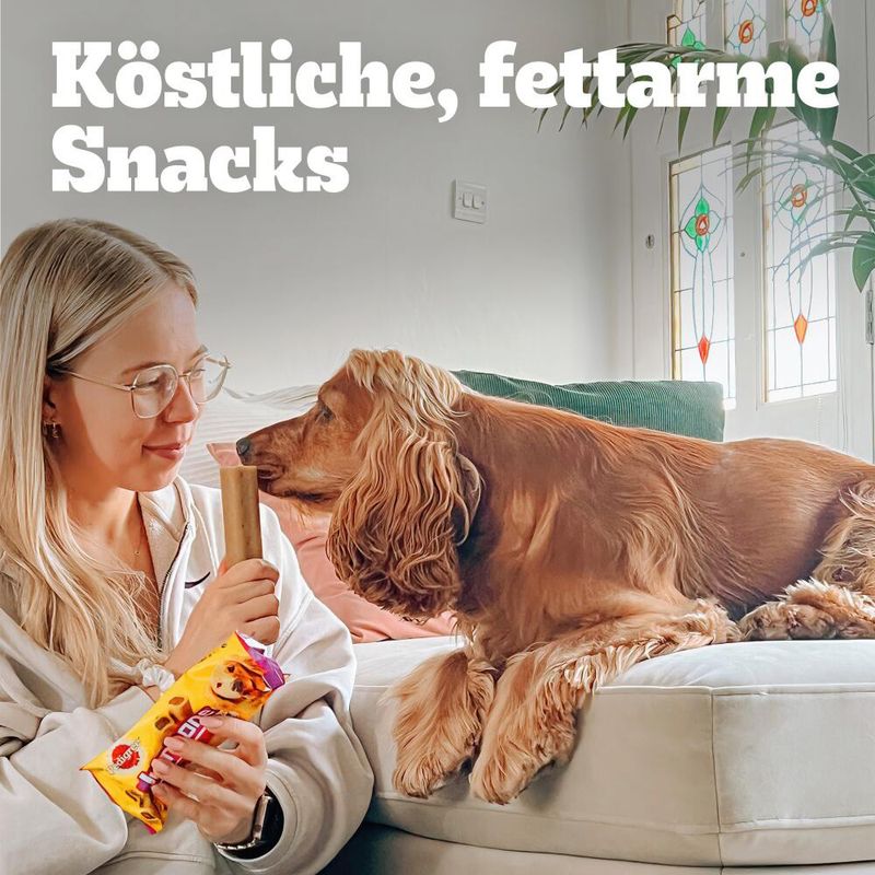 Pedigree Riesenknochen Mini
