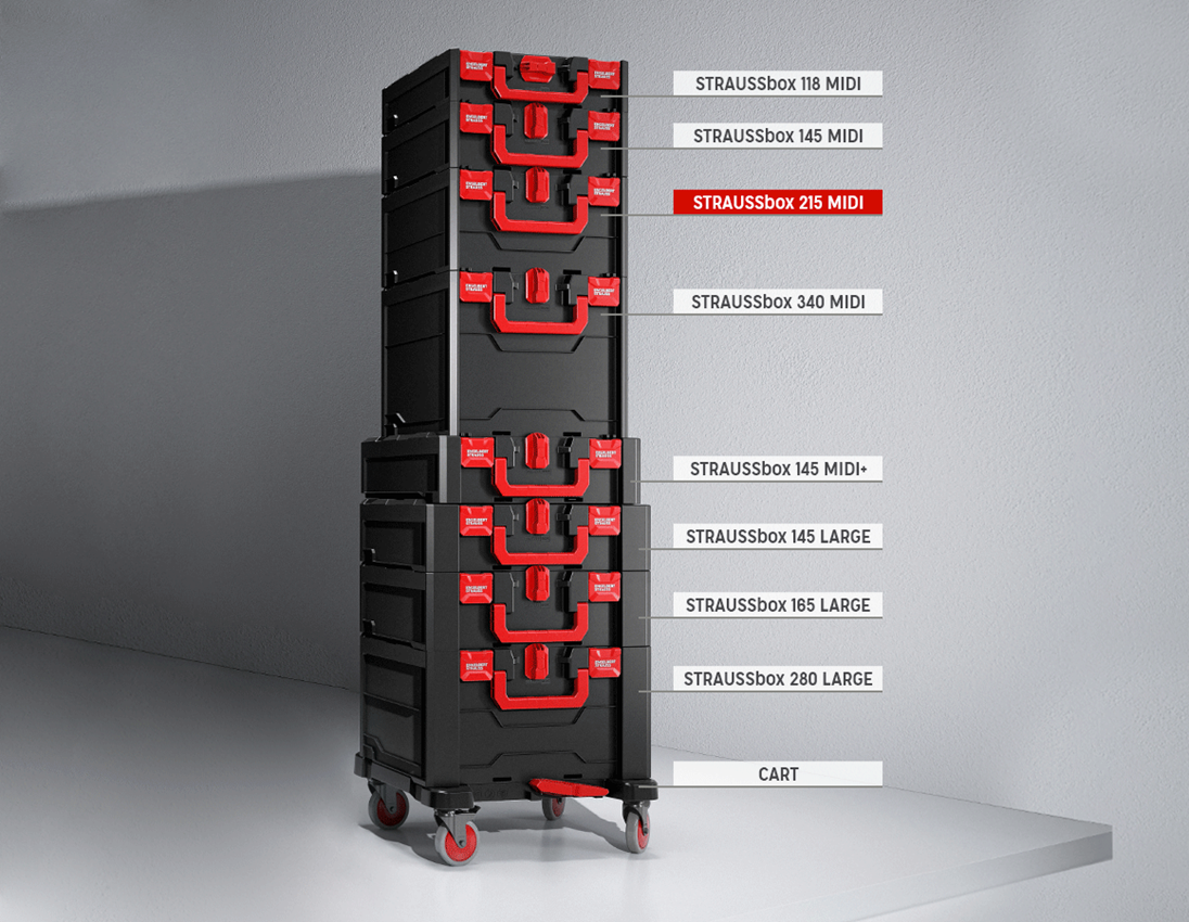 STRAUSSbox Werkzeug-Set 215midi Installation Profi