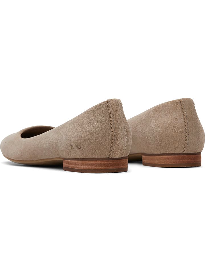 TOMS allerinas in Braun günstig kaufen
