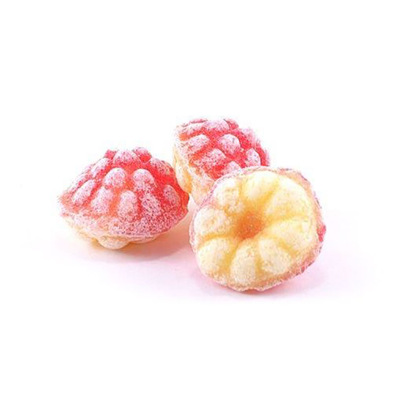 fischer Fine Sweets Himbeere & Vanille 200g