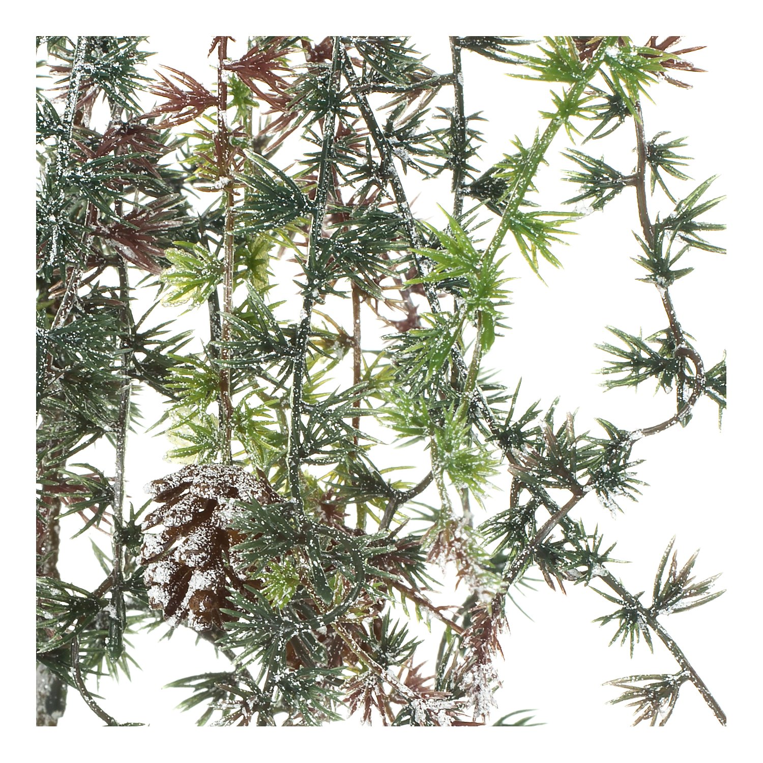 Frostlärchenzapfen-Zweig, 75 cm