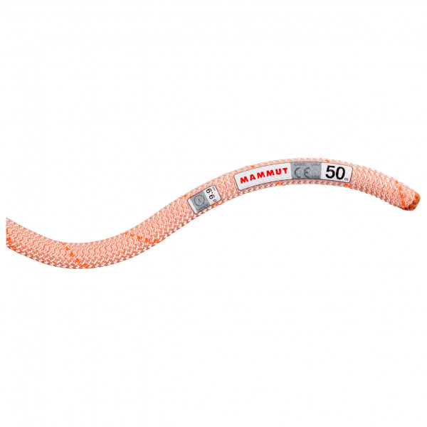 Mammut - 9.9 Gym Workhorse Classic Rope - Einfachseil