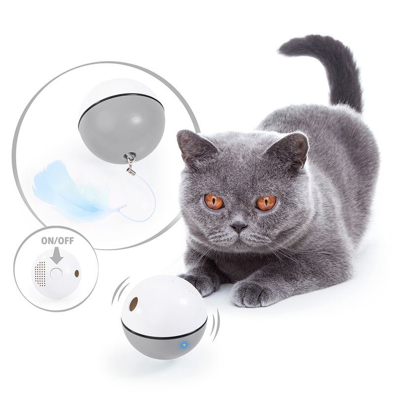 Catlove LED Katzenspielzeug Ball zu TOP-Preisen