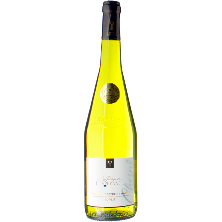MUSCADET SEVRE ET MAINE SUR LIE 2022 - DOMAINE DE L'ESPERANCE