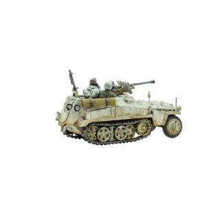 Sd.Kfz 250 (Alte) Half-Track (Options to make 250/1, 250/9 & 250/11 Variants)