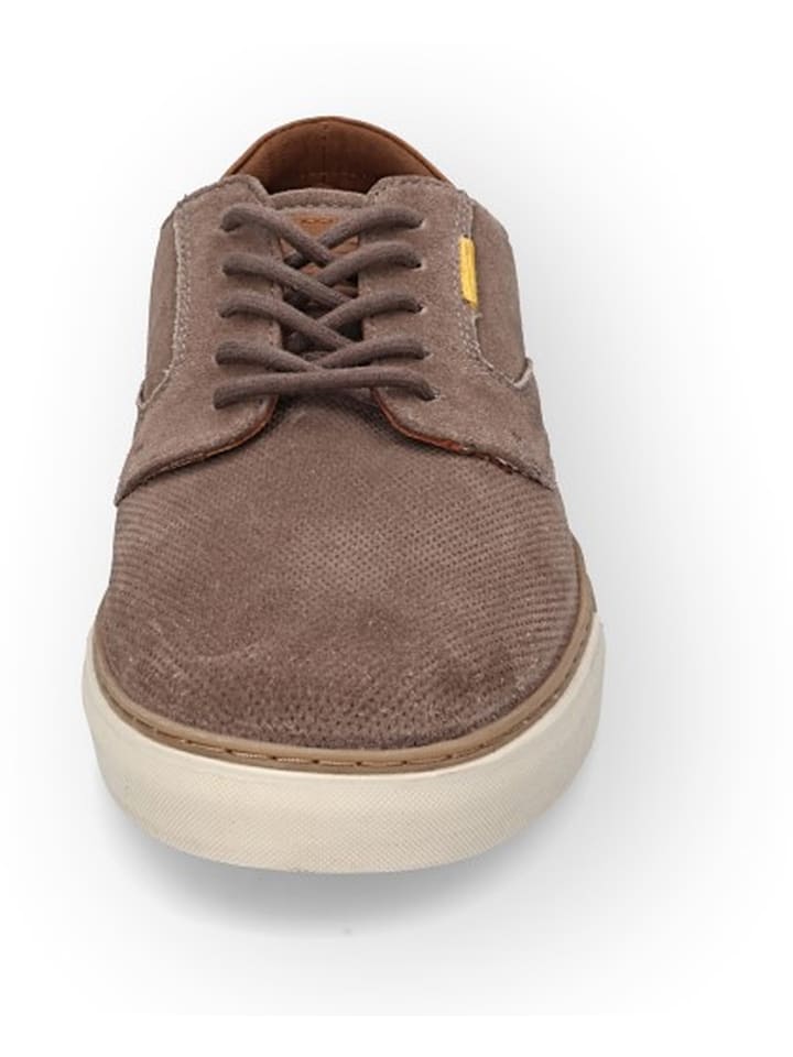 Camel Active Sneakers 