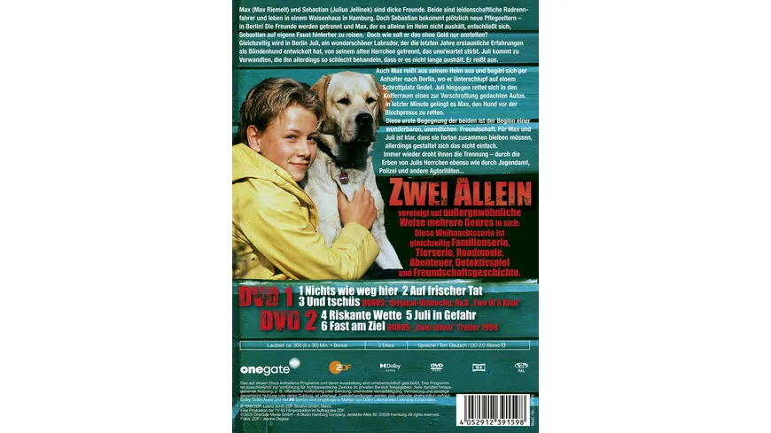 Zwei allein - Die komplette Serie  [2 DVDs]