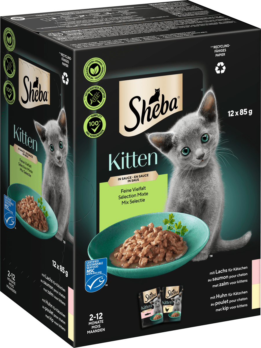 Nassfutter Katze Kitten mit Lachs & Huhn, feine Vielfalt in Sauce, Junior Multipack (12x85 g), 1,02 kg