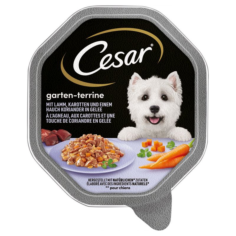 Cesar Schale 14 x 150 g