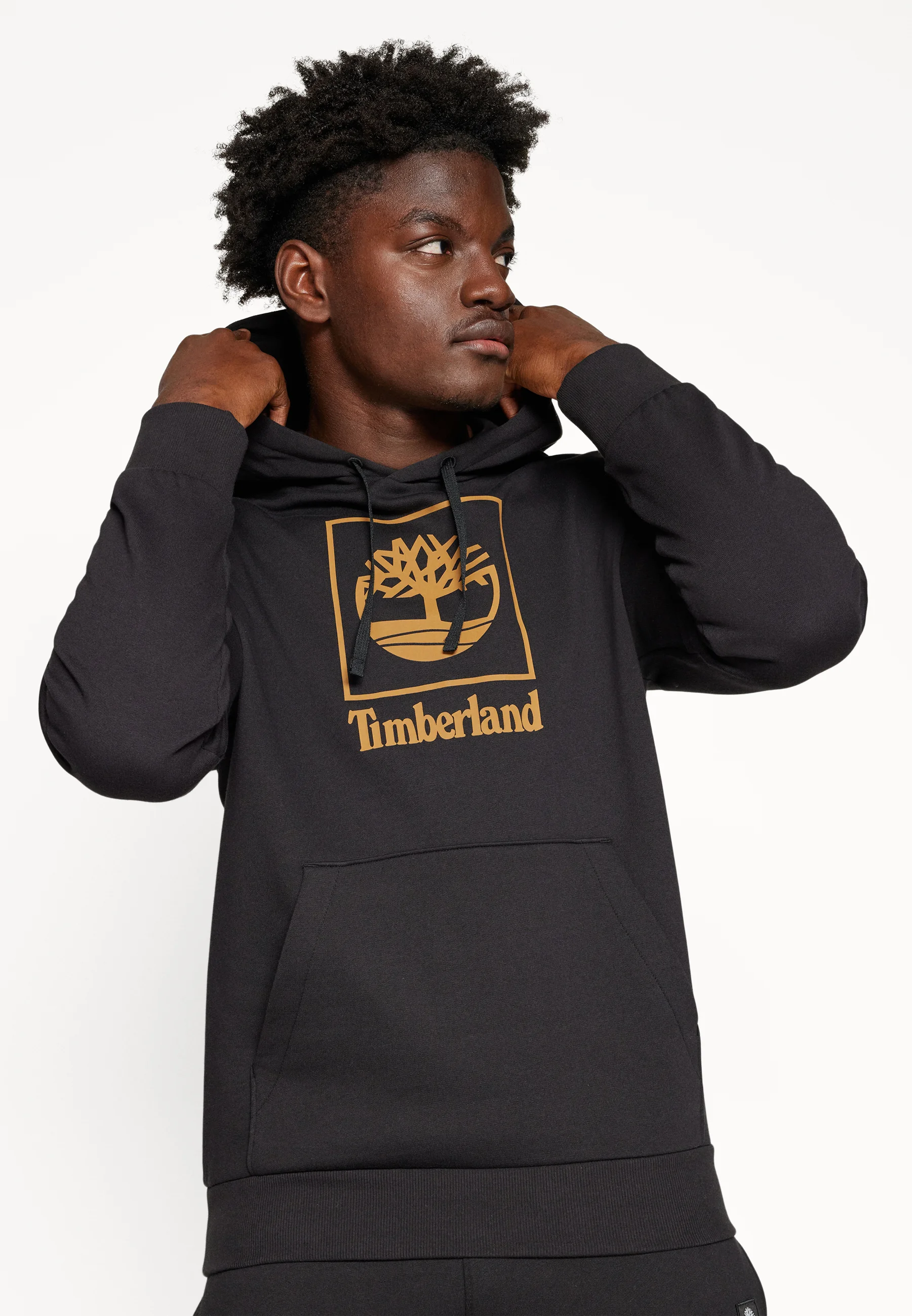 Sudadera con capucha Timberland Small Stack Logo Brushback
