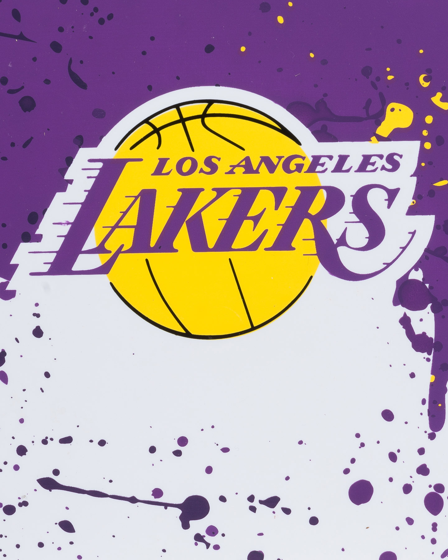 Koszyk Canestro Tabellone Wilson NBA Team Los Angeles Lakers WTB1302LL